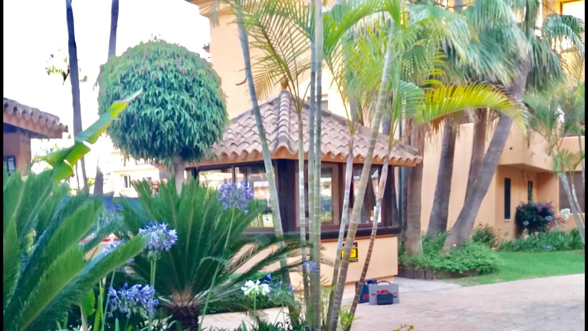 Marbella - Alicate Beachfront Apartment - 5 Spain